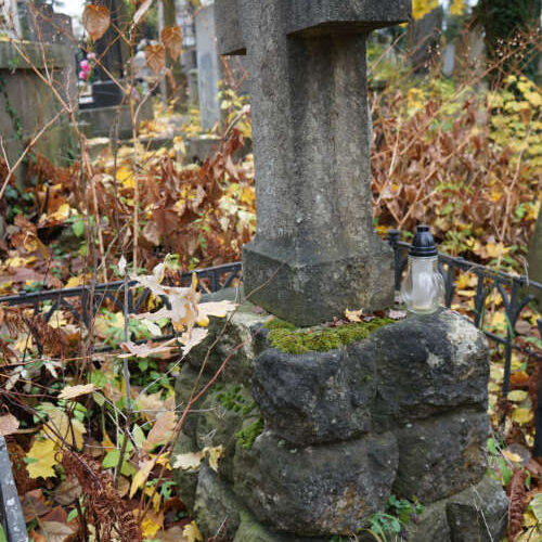 Nagrobek z krucyfiksem ś.p. Edmund Dzieduszycki