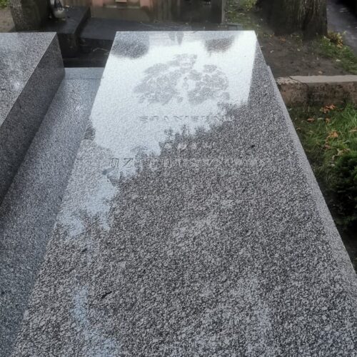 Renowacja nagrobków Róży i Kazimierza Dzieduszyckich na Cmentarzu Łyczakowskim we Lwowie