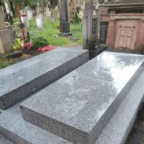 Renowacja nagrobków Róży i Kazimierza Dzieduszyckich na Cmentarzu Łyczakowskim we Lwowie