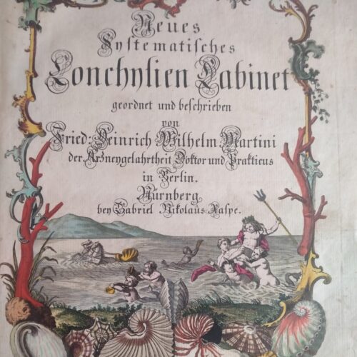 Martini H.W. „Neues systhematisches konchylien kabinet”, Nurnberg 1769