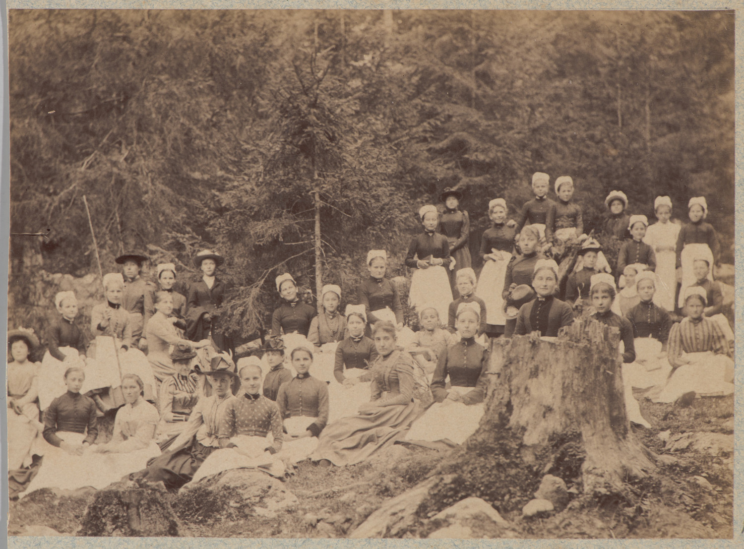 Wokół społecznych pasji Dzieduszyckich