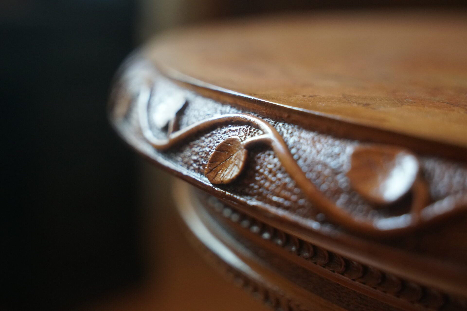 W gabinecie miłośnika przyrody