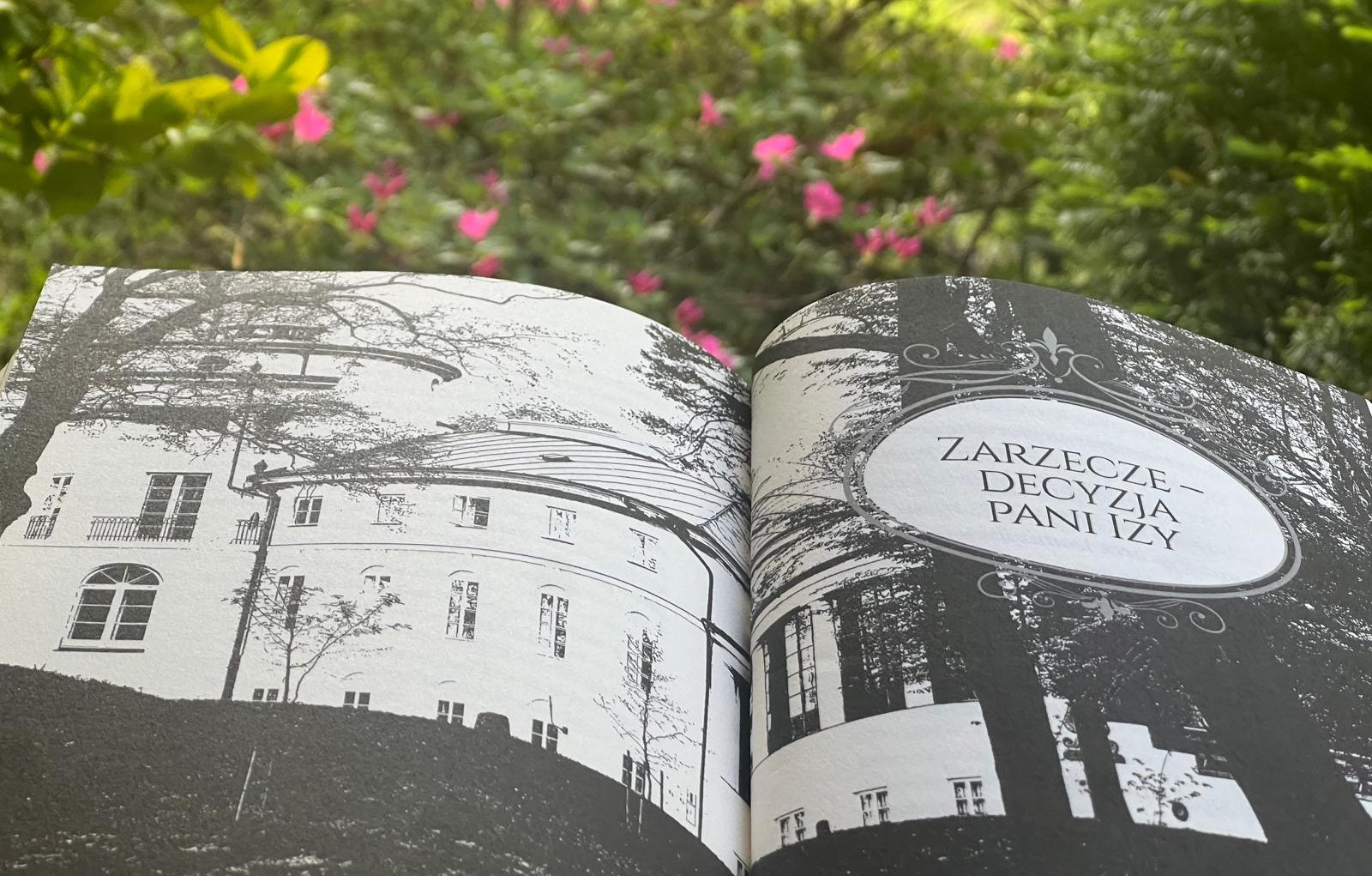 Marcin K. Schirmer o&nbsp;Zarzeczu –  decyzja pani Izy
